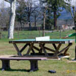 Les jeux et installations sont très bien entretenus et il y a de la place.