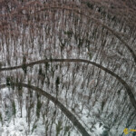 Idem photo précédente. Un graphisme hivernal.