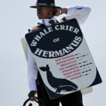 A Hermanus, sur le spot des baleines, il y a un "crieur" qui avertit le public que les baleines ne sont pas loin.