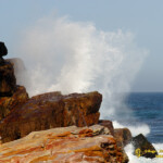 Vague sur la pointe du cap de Bonne Espérance.