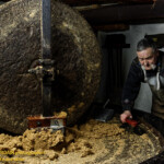 La grosse meule qui écrase les cerneaux de noix. No1