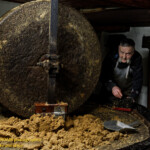 La grosse meule qui écrase les cerneaux de noix. No2