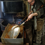 Les cerneaux sont retirés pour aller au pressoir