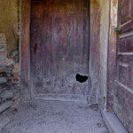 Le sentier du pisé, photo No7 : dans le village de Lavenal