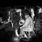 Monsieur Limagne, paysan traditionnel_Photo No24